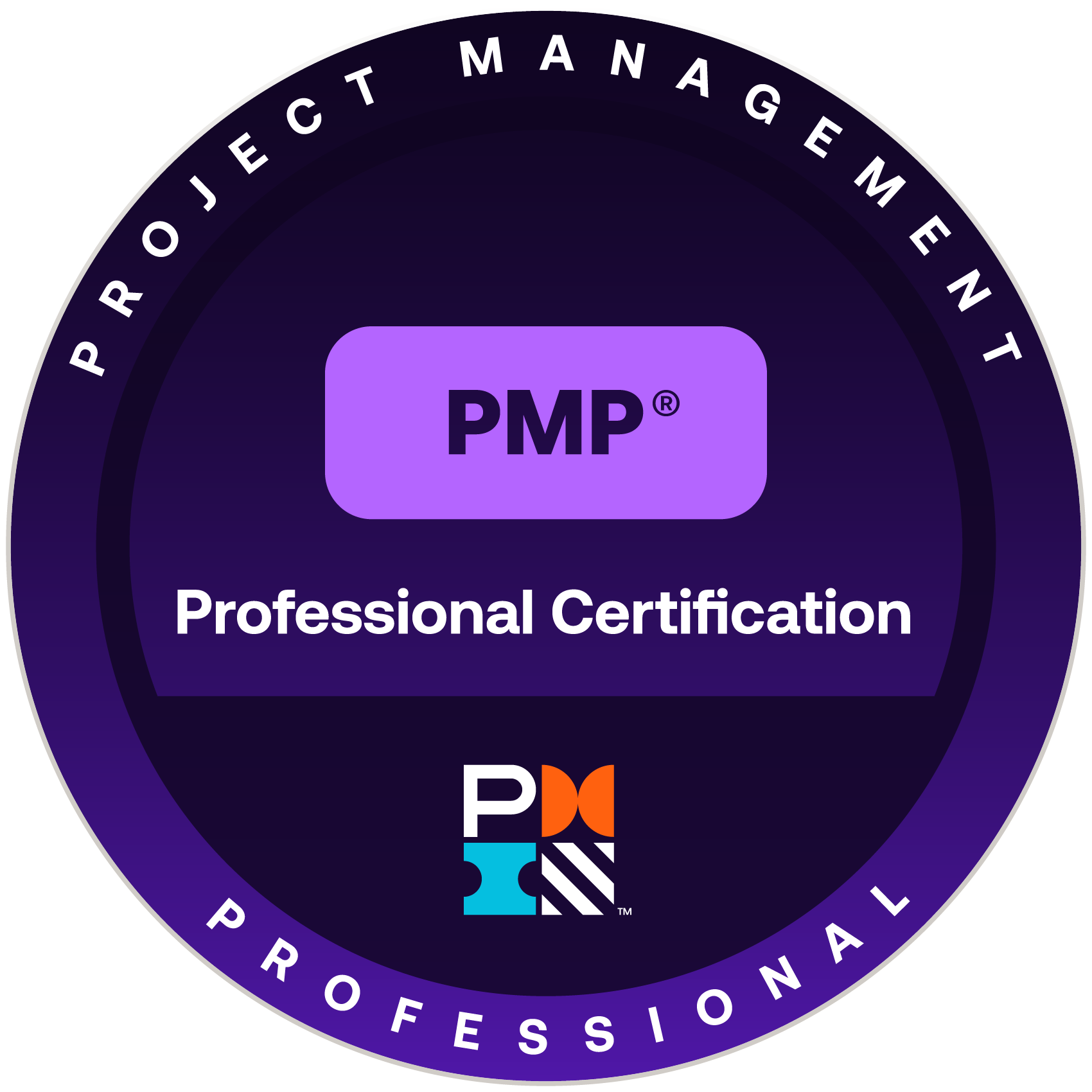 PMP Project Management Professional